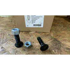 Гвинт + гайка M12x45 10,9 DIN608 Zn
