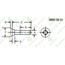 Гвинт з напівкруглою головкою 5/16"x1"-1/2 DIN603 (пачка 50шт)