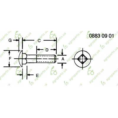Гвинт з напівкруглою головкою 5/16"x1"-1/2 DIN603 (пачка 50шт)